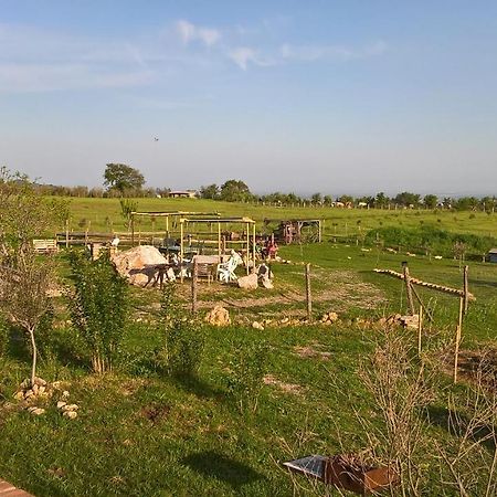 Sasso  Mario'S Home المظهر الخارجي الصورة